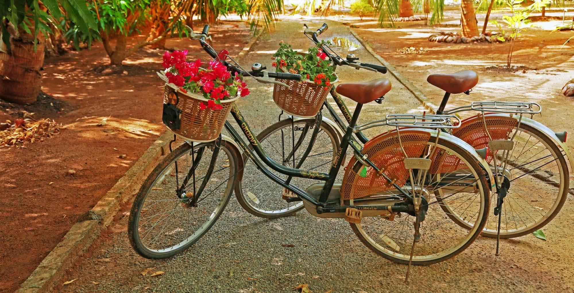 Heina Nature Resort - Eco Home And Yala Safari كاتاراغاما المظهر الخارجي الصورة