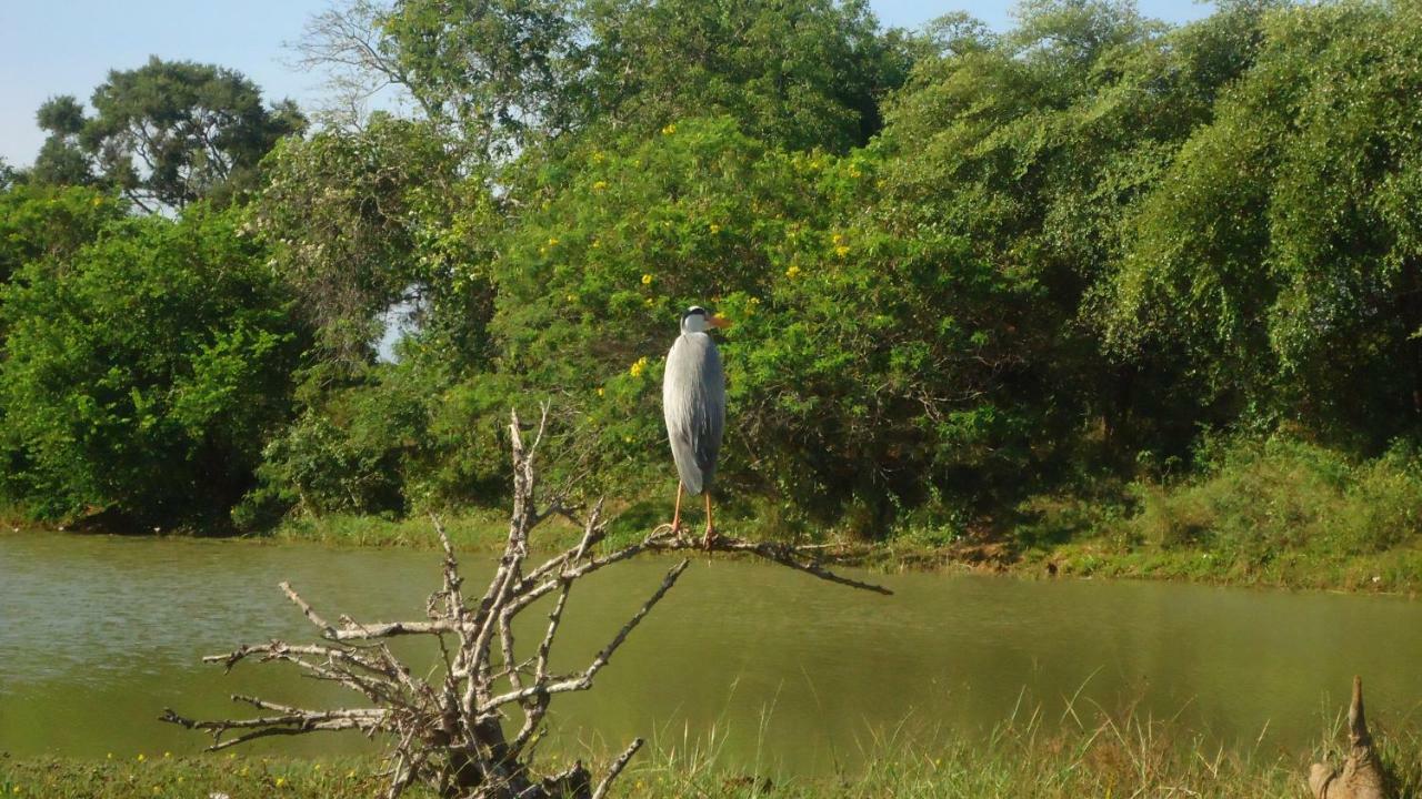 Heina Nature Resort - Eco Home And Yala Safari كاتاراغاما المظهر الخارجي الصورة