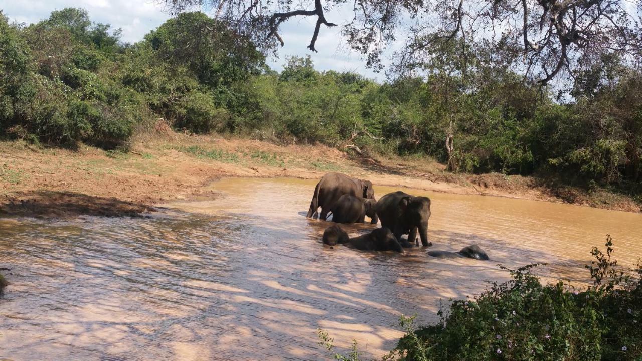 Heina Nature Resort - Eco Home And Yala Safari كاتاراغاما المظهر الخارجي الصورة